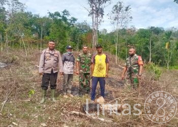 Cegah Karhutla, Muspika Nurussalam Imbau Masyarakat Jauhi Pembakaran Lahan