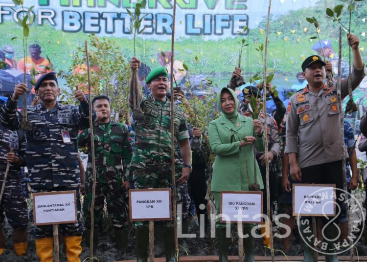 Jaga Ekosistem Pesisir, Pangdam XII/Tpr Pimpin Penanaman Mangrove Nasional Secara Serentak Di Wilayah Kalbar