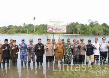 Peduli Lingkungan, Kodim 0421/Ls Beserta Komponen Masyarakat Menyelenggarakan Penanaman Mangrove Nasional Secara Serentak