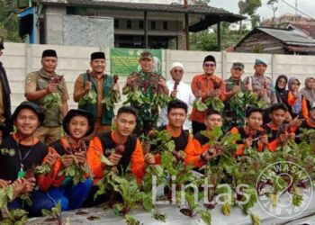 Hasil Memuaskan, Danrem 062/TN Panen Beetroots Di Lahan Demplot Bios 44 DC Ponpes Al Itifaq