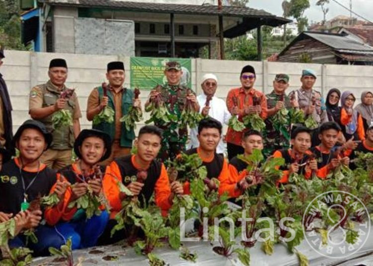 Hasil Memuaskan, Danrem 062/TN Panen Beetroots Di Lahan Demplot Bios 44 DC Ponpes Al Itifaq