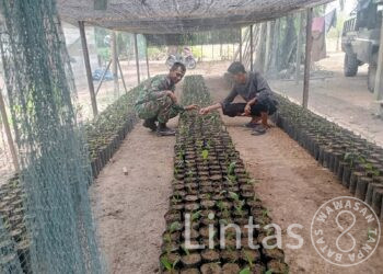 Sertu Saiful Sambangi Dan Berikan Motivasi Pelaku Usaha Pembibitan Sawit