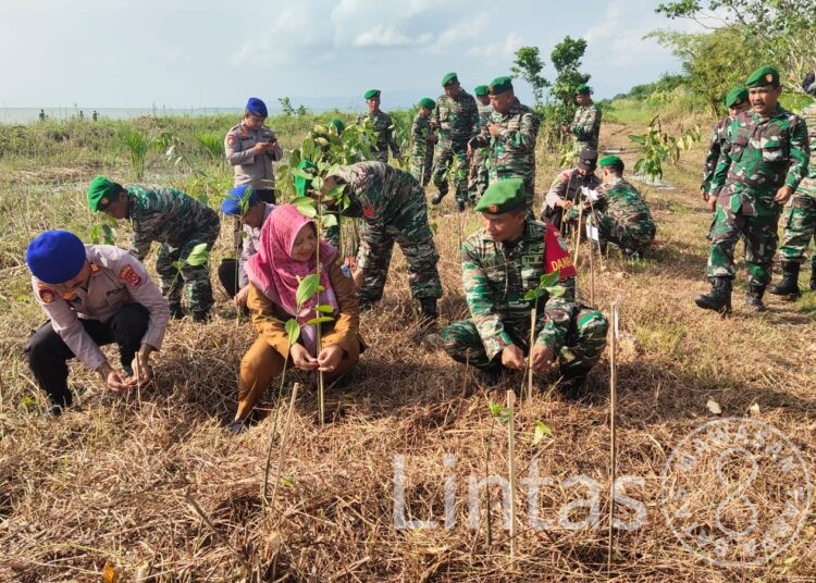 Kodim 0601/Pandeglang Ikuti Penanaman Mangrove Nasional Secara Serentak Seluruh Indonesia