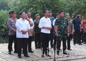 Kasad Dampingi Presiden Pada Acara Puncak Penanaman Mangrove Nasional