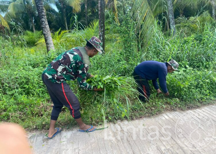 Kenang Nostalgia Indah Di Kampung, Satgas TMMD Reg Ke-116, Kodim 1203/Ktp Bantu Warga Cari Pakan Ternak