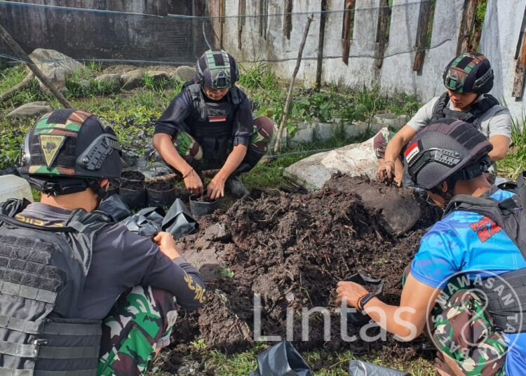 Untuk Meningkatkan Kesejahteraan Masyarakat Papua, Satgas Yonif RK 115/ML Menyiapkan Bantuan 5.400 Bibit Kopi Yang Siap Tanam