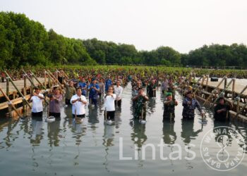 Tanam Mangrove Secara Serentak, Mabes TNI Raih Rekor Muri