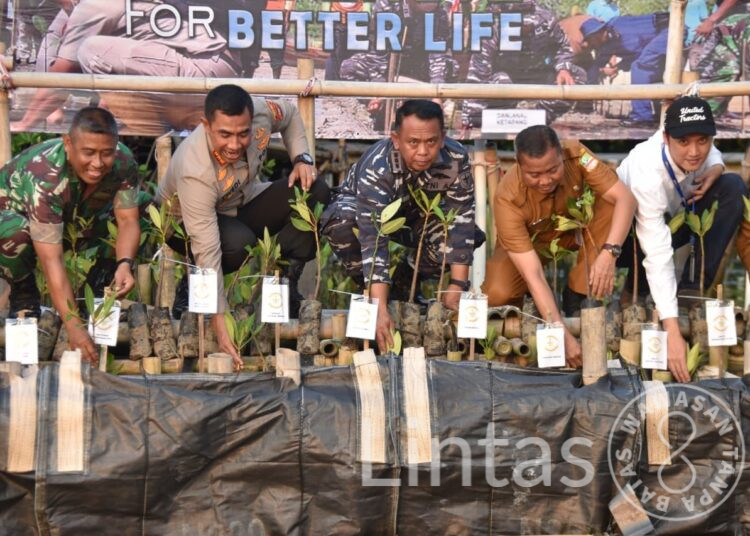 Acara Puncak Penanaman Mangrove Nasional Di Hadiri Presiden RI
