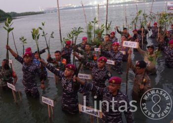 Wadan Kodiklatal Ikuti Penanaman Pohon Mangrove Nasional Yang Pecahkan Rekor MURI