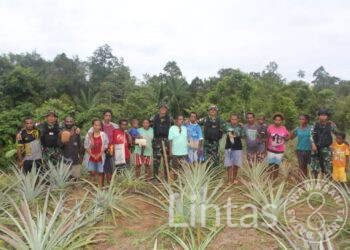 Motivasi Warga Perbatasan, Satgas Pamtas Yonif 725/Woroagi Ajak Masyarakat Berkebun