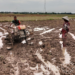 Bergelimang Dengan Lumpur, Babinsa Koramil 15/Plkb Bantu Bajak Sawah Dengan Traktor