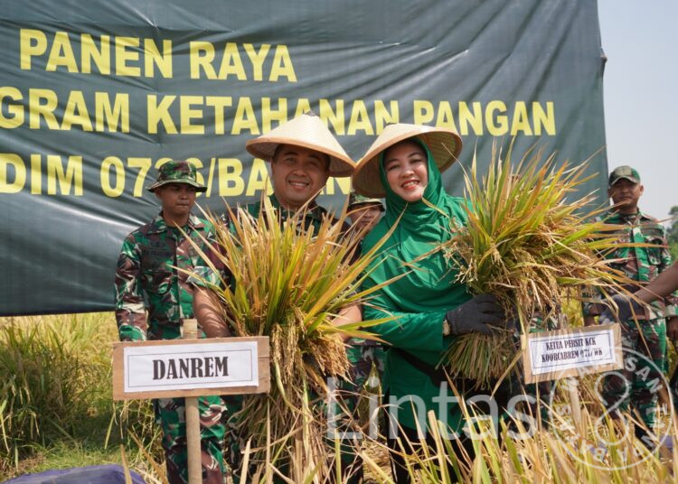 Panen Padi Perdana Protangguh di Wilayah Batang Melimpah