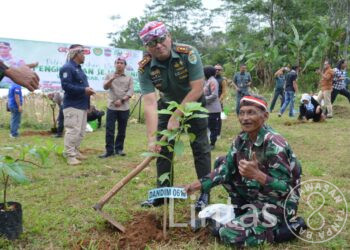 Wujudkan Sinergitas Lingkungan , Dandim 0613/Ciamis & Kapolres Ciamis Lakukan Penanaman Bibit Pohon di Jalatrang