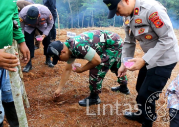 Kodim 0613/Ciamis Rangkul Para Petani Tanjung Jaya Untuk Tanam Jagung Di Lahan Kritis Seluas 10 Hektar