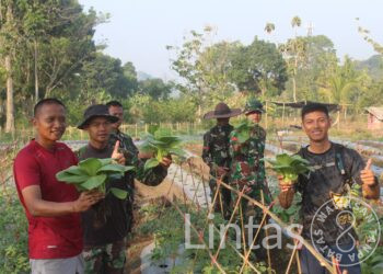 Kebun Ketahanan Pangan di Batalyon Yonif Raider 301/PKS Panen