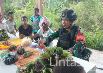Belanja Hasil Kebun, Satgas Yonif 310/KK Ikut Serta Tingkatkan Perekonomian di Perbatasan RI-PNG