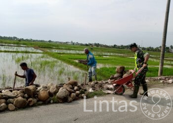 Peran Babinsa Dalam Meningkatkan Produksi Pertanian Pada Pembangunan Irigasi Sawah di Desa Blang Mitrah Peureulak
