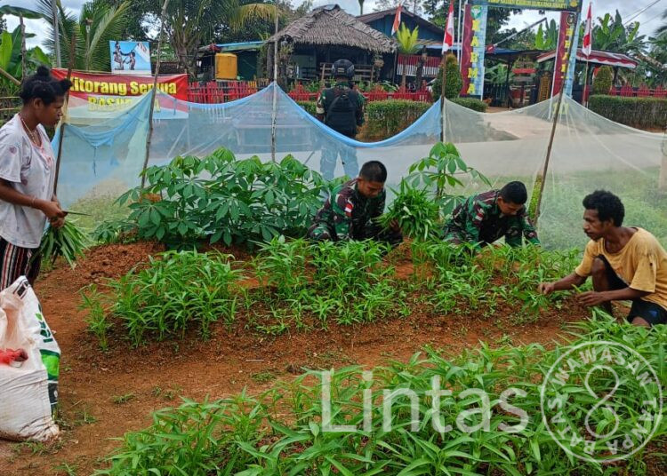 Tingkatkan Kesejahteran Masyarakat Satgas Pamtas RI -PNG Yonif 111/KB Ajari Masyarakat Bercocok Tanam di Wilayah Pedalaman Papua Selatan