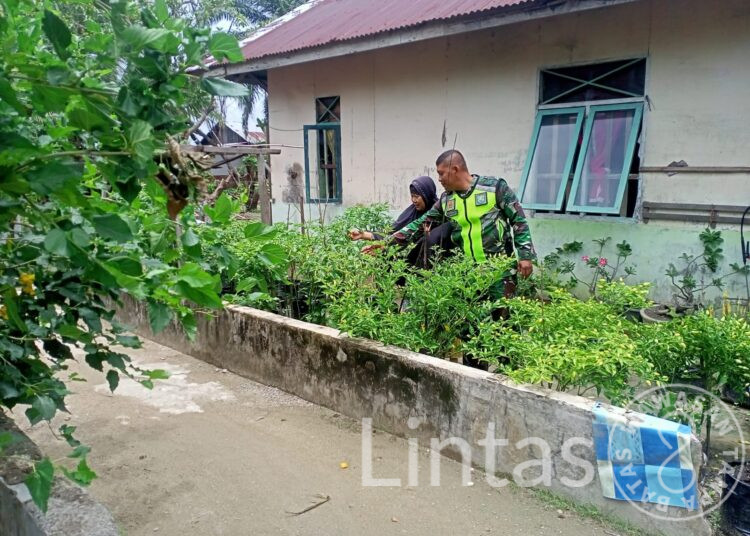 Sertu Eko Tri, Babinsa Koramil 11 Birem Bayeun Berperan Aktif Dalam Program Kemandirian Pangan