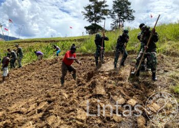 Bantu Kesulitan Masyarakat, Satgas Yonif 721/Mks Bantu Buka Lahan Untuk Berkebun