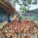 Dukung Ketahanan Pangan, Koptu Hadi Purnomo Sambangi Peternak Ayam Petelur