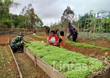 Semai Bibit Tanaman Satgas Pamtas RI-PNG Yonif 111/KB Dan Masyarakat Kampung Mawan Gelar Kampung Sejahtera