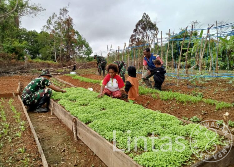 Semai Bibit Tanaman Satgas Pamtas RI-PNG Yonif 111/KB Dan Masyarakat Kampung Mawan Gelar Kampung Sejahtera