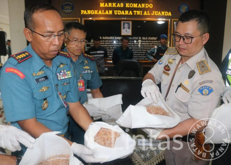 TNI AL Kembali Berhasil Gagalkan Pengiriman Benih Bening Lobster Ke Singapura