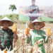 Situasi Elnino, Program I’M Jagung Yang Diprakarsai Pangdam IM Sukses Panen Perdana