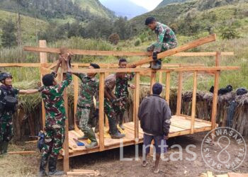 Proses Pembuatan Kandang Babi Untuk Bapak Klasis Enius G Tabuni di, Mayuberi, Papua