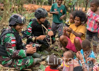 Sumber Daya Alam Melimpah, Satgas Yonif 310/KK Bantu Panen Sagu