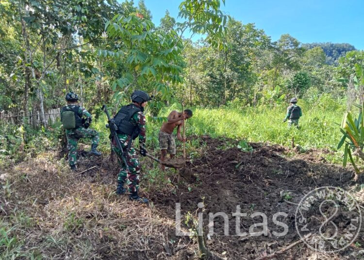 Dukung Ketahanan Pangan, Satgas Yonif 310/KK Bantu Warga Buka Lahan Perkebunan