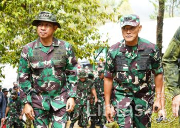 Panglima TNI Gelorakan Gerakan Pembersihan Sampah Dan Penanaman Pohon