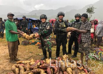 Panen Raya Ubi Satgas TNI 300 Siliwangi Bersama Masyarakat di Wako Distrik Gome Papua
