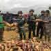 Panen Raya Ubi Satgas TNI 300 Siliwangi Bersama Masyarakat di Wako Distrik Gome Papua