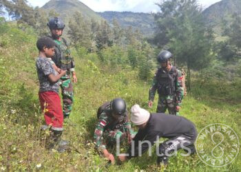 Ikut Serta Mendukung Program Mencintai Alam, Satgas Yonif 721/Mks Tanam Bibit Pohon di Papua Pegunungan