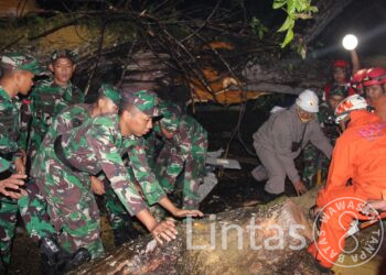 Prajurit Yonarmed 5/PG Evakuasi Pohon Tumbang di Cipanas