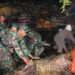 Prajurit Yonarmed 5/PG Evakuasi Pohon Tumbang di Cipanas