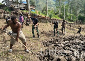 Satgas Yonif 721/Mks Ajak Masyarakat Manfaatkan Lahan Kosong Untuk Dikelola