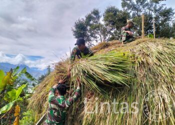 Atasi Kesulitan Masyarakat, Satgas Yonif 721/Mks Gotong Royong Bangun Honai Warga