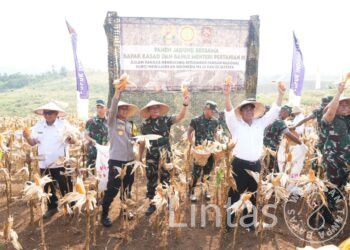 Pangdam III/Siliwangi Dampingi Kasad Panen Raya di Sukabumi