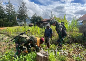 Galakkan Ketahanan Pangan, Satgas 323 Buaya Putih Bagikan Bibit Sayur