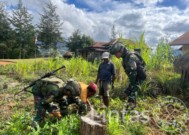 Galakkan Ketahanan Pangan, Satgas 323 Buaya Putih Bagikan Bibit Sayur