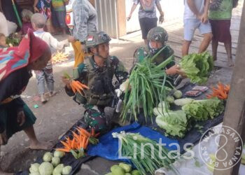 Buaya Putih Cinta Papua, Stabilkan Roda Ekonomi Masyarakat Dengan Borong Hasil Tani