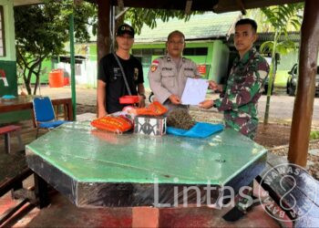 Satgas Yonif 122/TS Kembali Berhasil Temukan Narkoba Jenis Ganja Kering Seberat 1,2 Kg