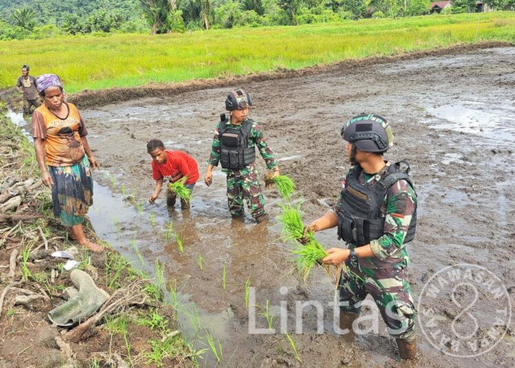 Dukung Ketersediaan Pangan di Perbatasan, Satgas Yonif 310/KK Bantu Petani Garap Dan Tanami Lahan