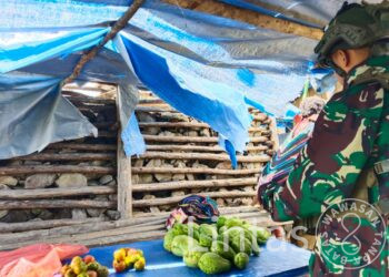 Ksatria Buaya Putih Kembali Borong Habis Hasil Tani Mama Papua