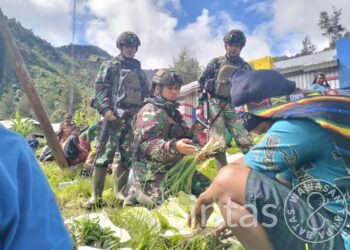 Satgas Yonif 323 Buaya Putih Pos Beoga Tingkatkan Perekonomian Masyarakat Beoga