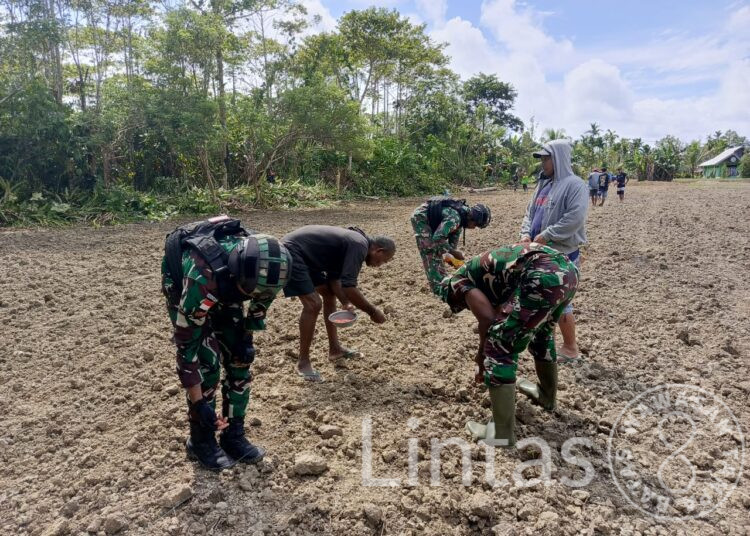 Semangat Swasembada Pangan, Satgas Yonif 310/KK Bersama Warga Perbatasan Tanam Bibit Jagung