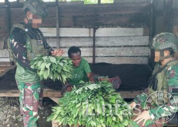 ROSITA Marinir Habema Bantu Ekonomi Warga Dekai